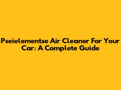 Pseielementse Air Cleaner For Your Car: A Complete Guide