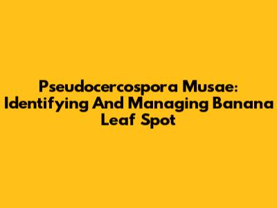 Pseudocercospora Musae: Identifying And Managing Banana Leaf Spot