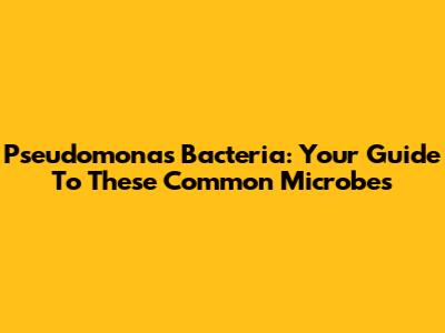 Pseudomonas Bacteria: Your Guide To These Common Microbes
