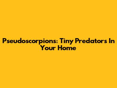 Pseudoscorpions: Tiny Predators In Your Home