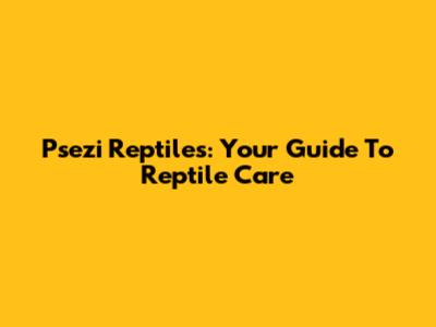 Psezi Reptiles: Your Guide To Reptile Care