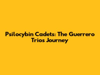 Psilocybin Cadets: The Guerrero Trio's Journey