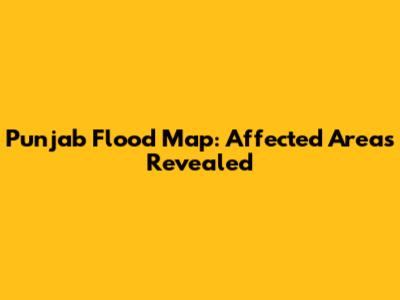 Punjab Flood Map: Affected Areas Revealed
