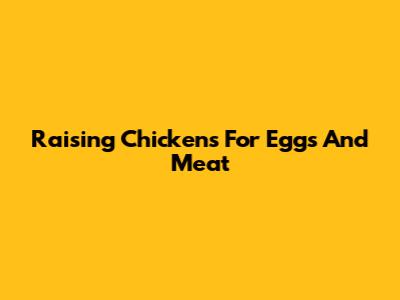 Raising Chickens For Eggs And Meat