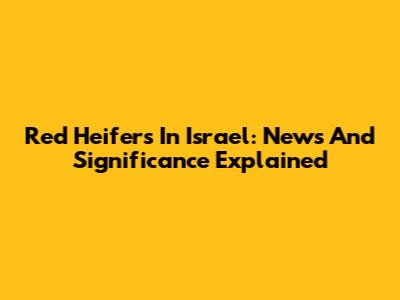 Red Heifers In Israel: News And Significance Explained