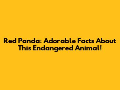 Red Panda: Adorable Facts About This Endangered Animal!