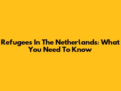 Refugees In The Netherlands: What You Need To Know