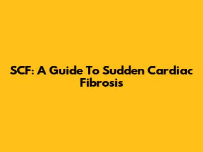 SCF: A Guide To Sudden Cardiac Fibrosis