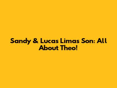 Sandy & Lucas Lima's Son: All About Theo!