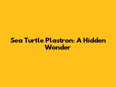 Sea Turtle Plastron: A Hidden Wonder