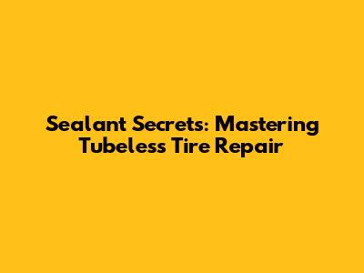 Sealant Secrets: Mastering Tubeless Tire Repair