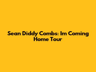 Sean Diddy Combs: I'm Coming Home Tour