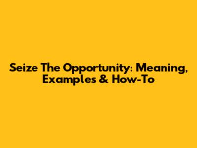 Seize The Opportunity: Meaning, Examples & How-To