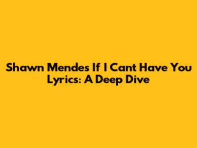 Shawn Mendes "If I Can't Have You" Lyrics: A Deep Dive