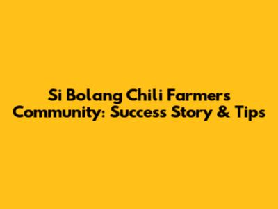 Si Bolang Chili Farmers Community: Success Story & Tips