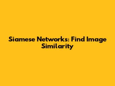 Siamese Networks: Find Image Similarity