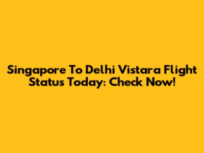 Singapore To Delhi Vistara Flight Status Today: Check Now!