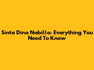Sinta Dina Nabilla: Everything You Need To Know
