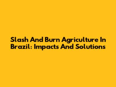 Slash And Burn Agriculture In Brazil: Impacts And Solutions