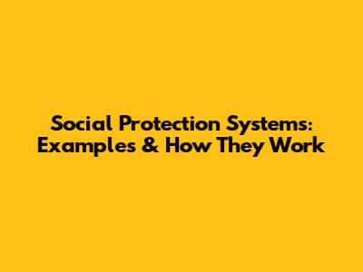 Social Protection Systems: Examples & How They Work