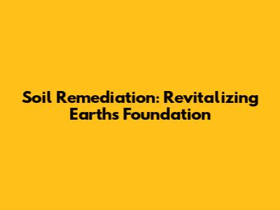 Soil Remediation: Revitalizing Earth's Foundation