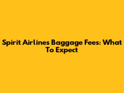Spirit Airlines Baggage Fees: What To Expect