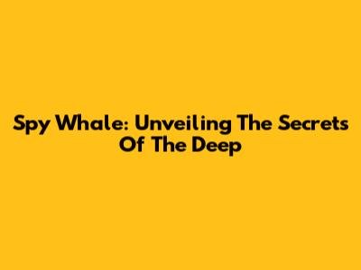 Spy Whale: Unveiling The Secrets Of The Deep