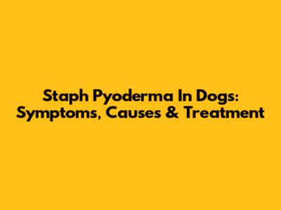 Staph Pyoderma In Dogs: Symptoms, Causes & Treatment