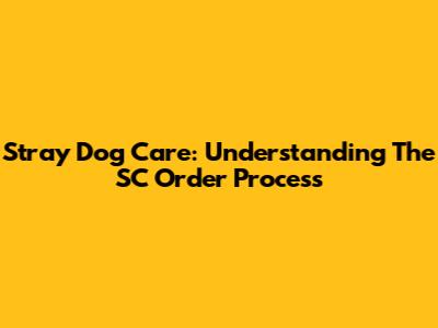 Stray Dog Care: Understanding The SC Order Process