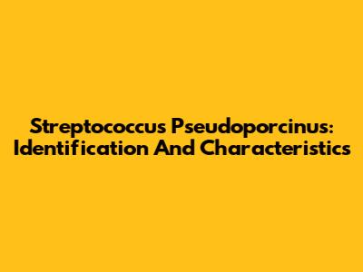 Streptococcus Pseudoporcinus: Identification And Characteristics