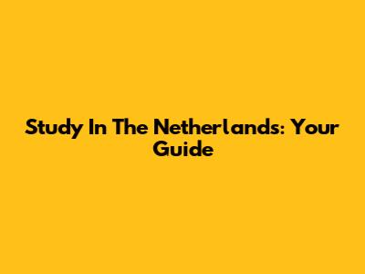 Study In The Netherlands: Your Guide