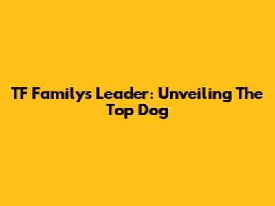 TF Family's Leader: Unveiling The Top Dog