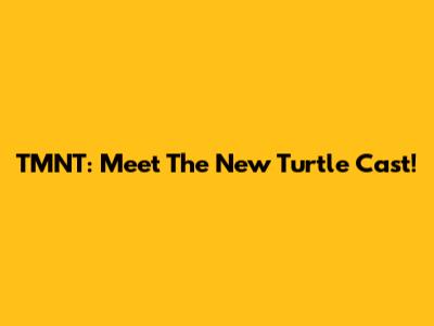 TMNT: Meet The New Turtle Cast!
