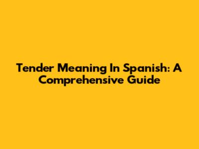 Tender Meaning In Spanish: A Comprehensive Guide