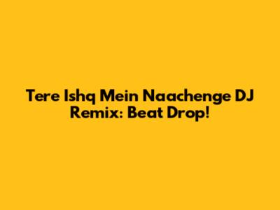 Tere Ishq Mein Naachenge DJ Remix: Beat Drop!