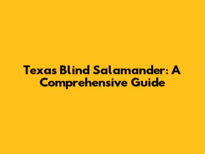 Texas Blind Salamander: A Comprehensive Guide