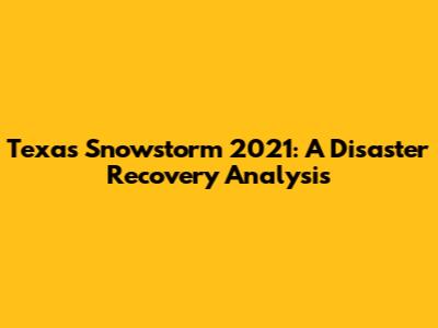 Texas Snowstorm 2021: A Disaster Recovery Analysis