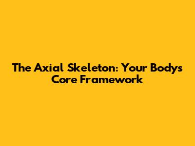The Axial Skeleton: Your Body's Core Framework