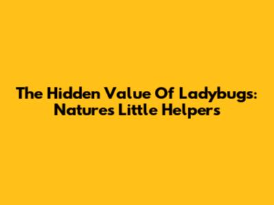 The Hidden Value Of Ladybugs: Nature's Little Helpers