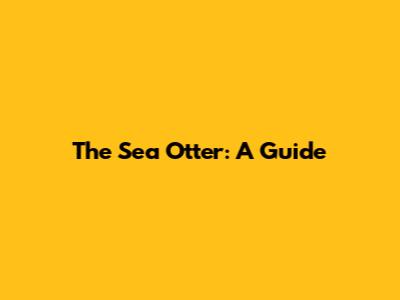 The Sea Otter: A Guide