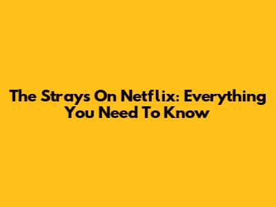 The Strays On Netflix: Everything You Need To Know