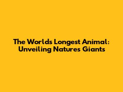 The World's Longest Animal: Unveiling Nature's Giants