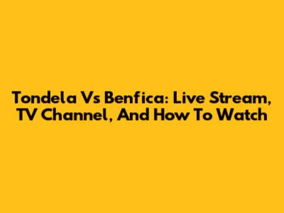 Tondela Vs Benfica: Live Stream, TV Channel, And How To Watch