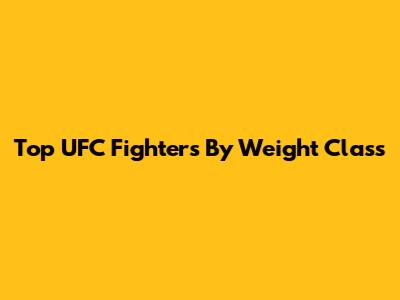 Top UFC Fighters By Weight Class