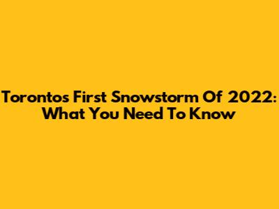 Toronto's First Snowstorm Of 2022: What You Need To Know
