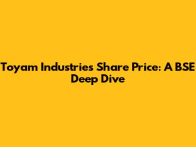 Toyam Industries Share Price: A BSE Deep Dive