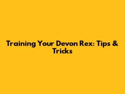 Training Your Devon Rex: Tips & Tricks