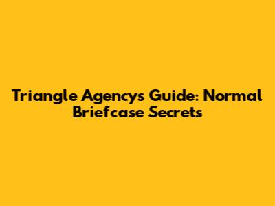 Triangle Agency's Guide: Normal Briefcase Secrets