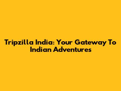 Tripzilla India: Your Gateway To Indian Adventures