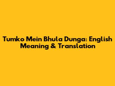 Tumko Mein Bhula Dunga: English Meaning & Translation